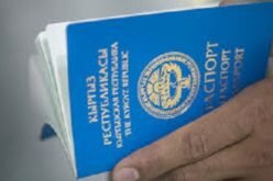 В Приморье граждане Узбекистана организовали «миграционный» бизнес по продаже фальшивых паспортов Кыргызстана