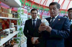 Президент Пекиндин борборунда Эл аралык көргөзмөдөгү Кыргызстандын жарманке павильонуна барды