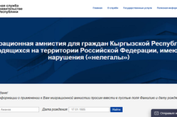 Миграционная амнистия в РФ — на каком сайте можно проверить свой статус