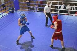 Кыргызстанцы выиграли четыре медали на турнире по боксу в России